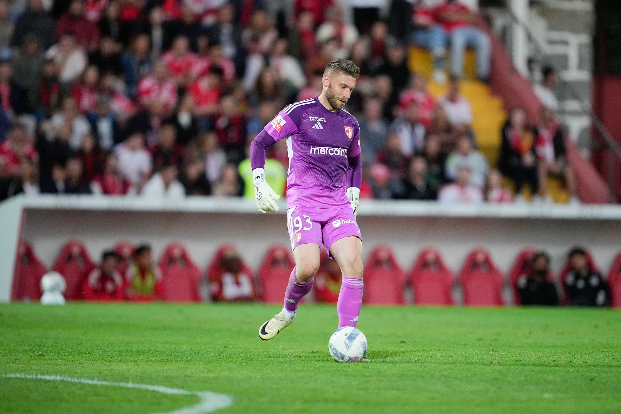 Camisola AFS guarda-redes roxo