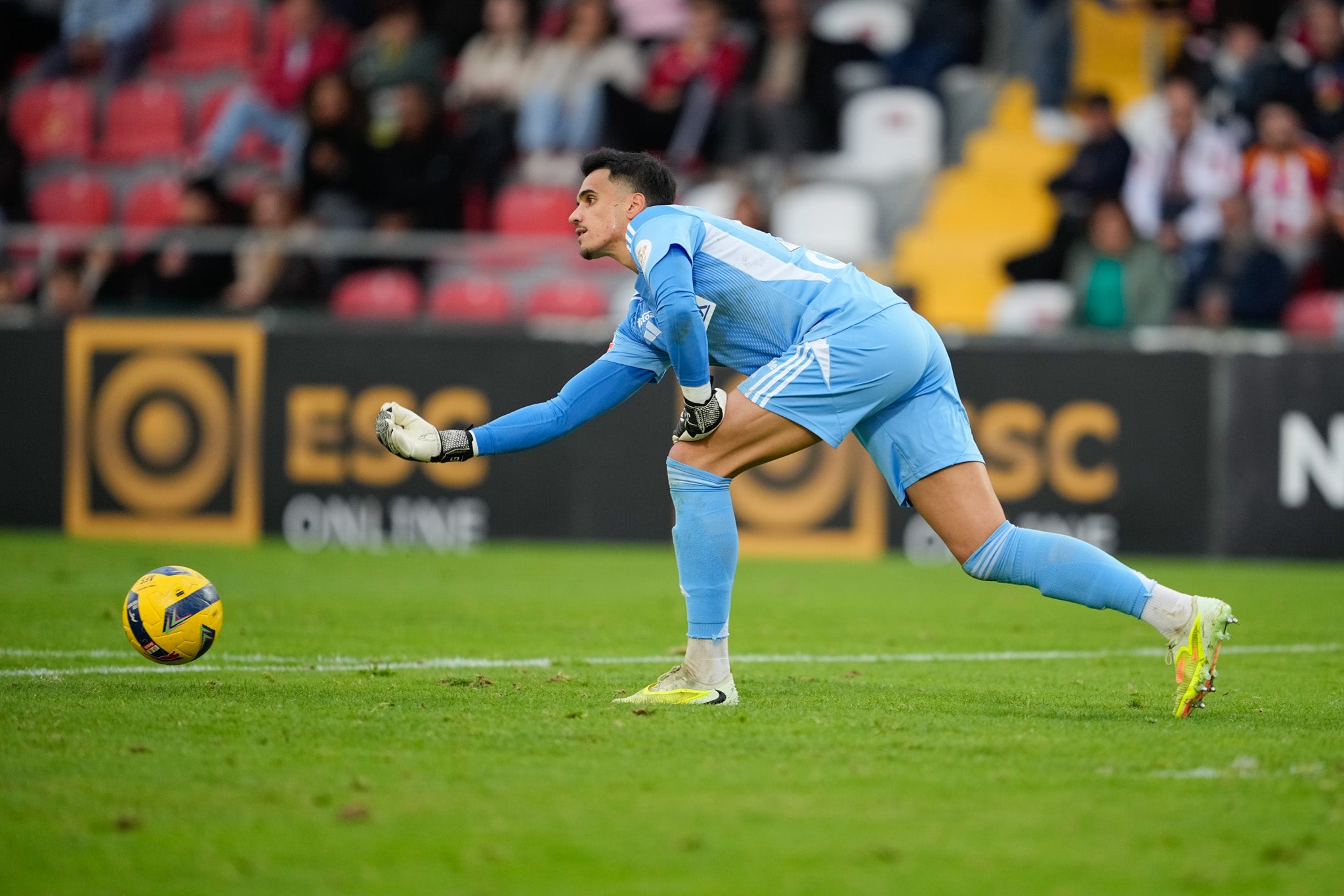 Camisola AFS guarda-redes azul