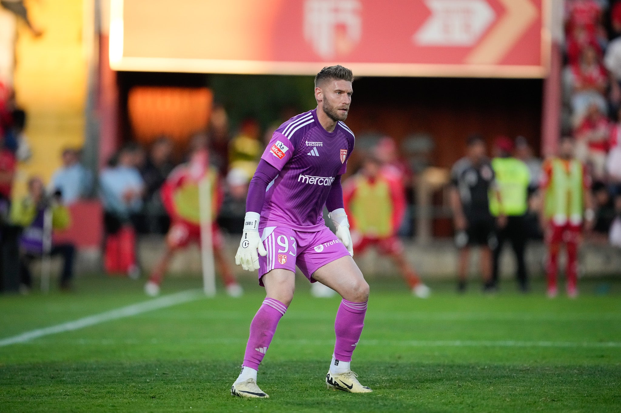 Camisola AFS guarda-redes roxo